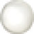 White Shell